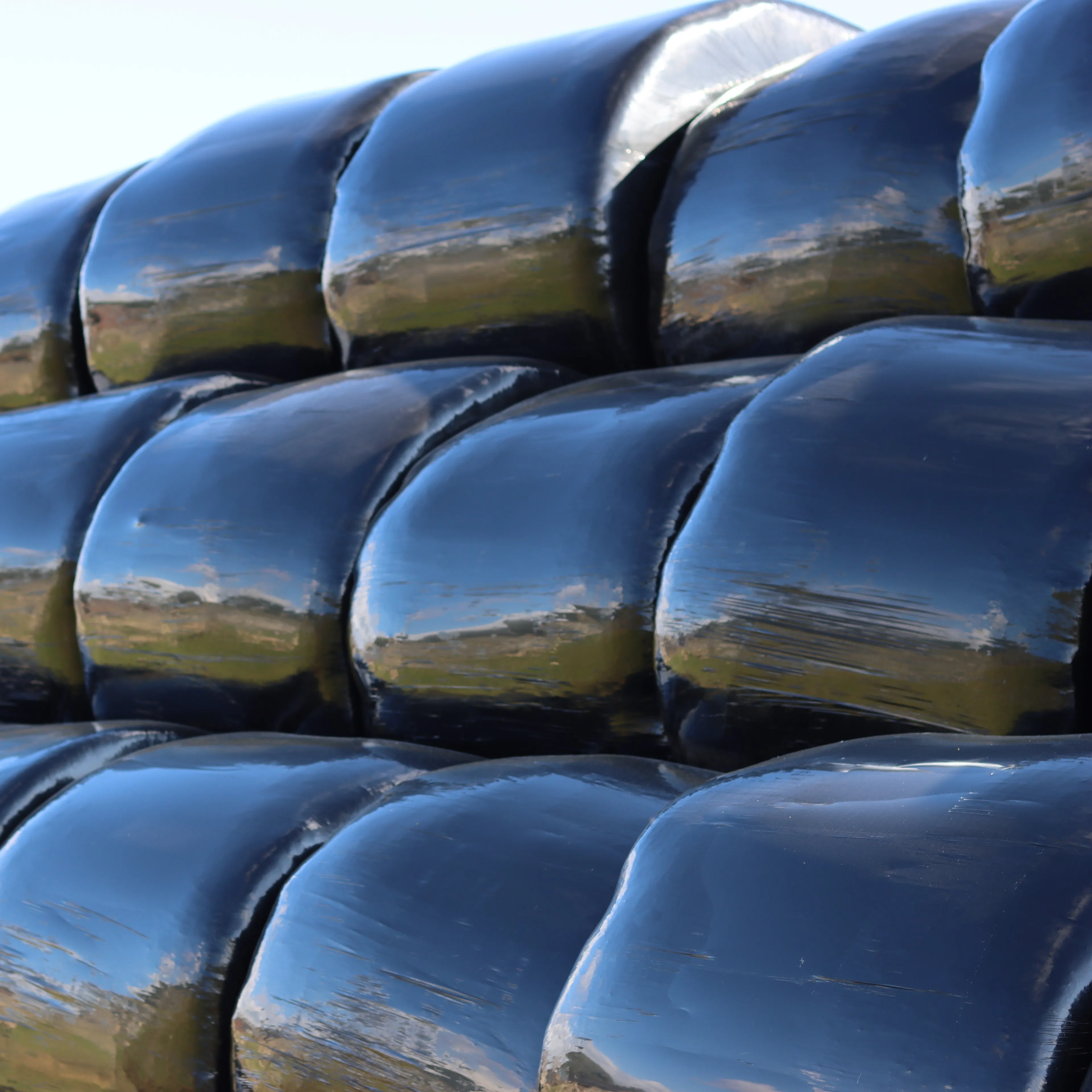 Fodder_Round_Bale_Silage[1].jpg